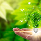 29 de maio Dia Mundial da Energia