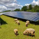 Novo apoio de 15 milhões de euros para a energia renovável na agricultura